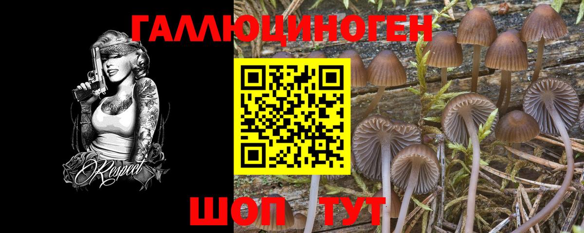 Галлюциногенные грибы Cubensis  Вход с VPN  Гурьевск 