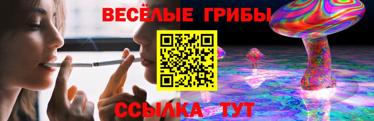 Псилоцибиновые грибы прущие грибы Гурьевск